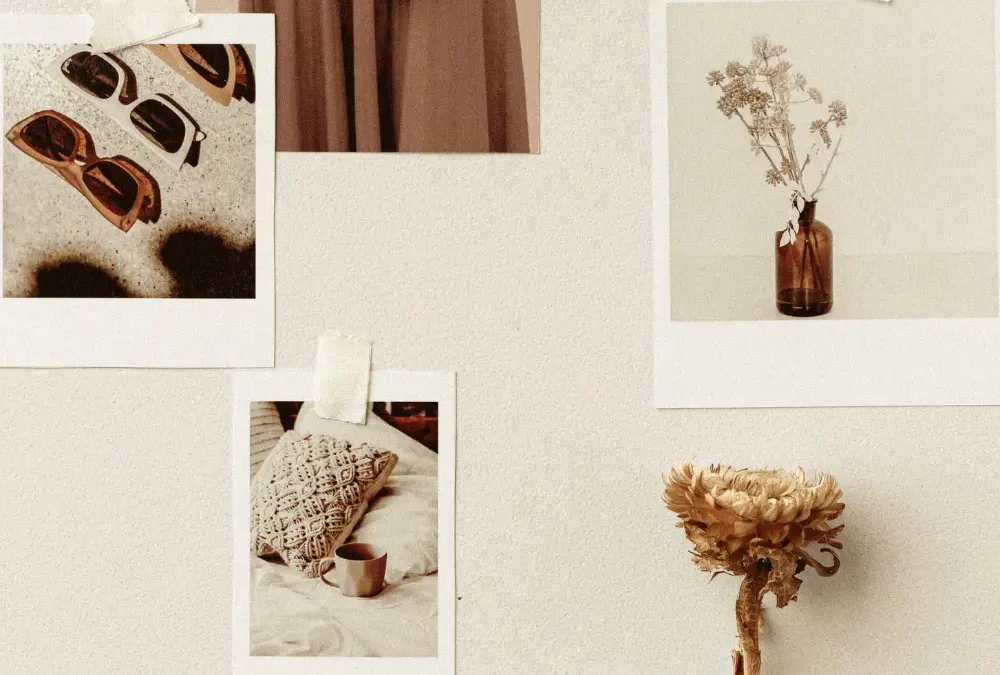 Les essentiels à avoir avant de confier ton site à une webdesigner