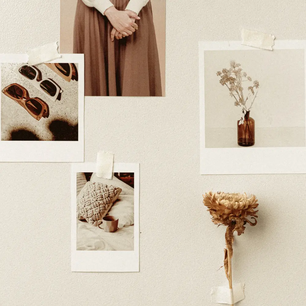 Les essentiels à avoir avant de confier ton site à une webdesigner